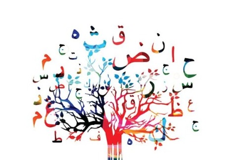 مطالعة اللغة العربية والأدب